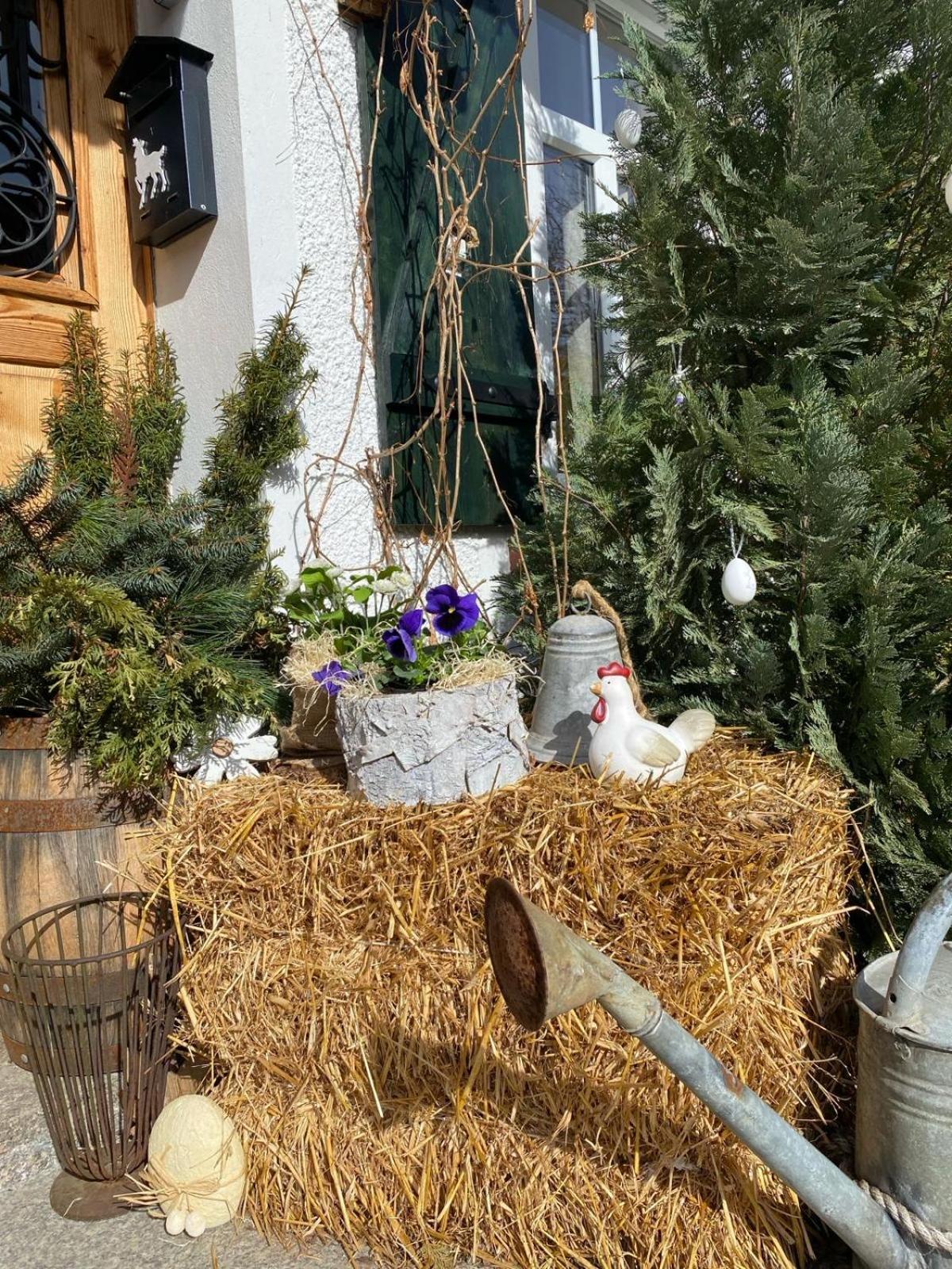 Apartamenty Sudeckie Nad Zalewem II Sosnowka  Luaran gambar